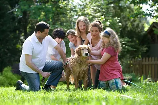 A family of 6 people in a backyard surrounding a golden retriever that has just been washed with a hose.