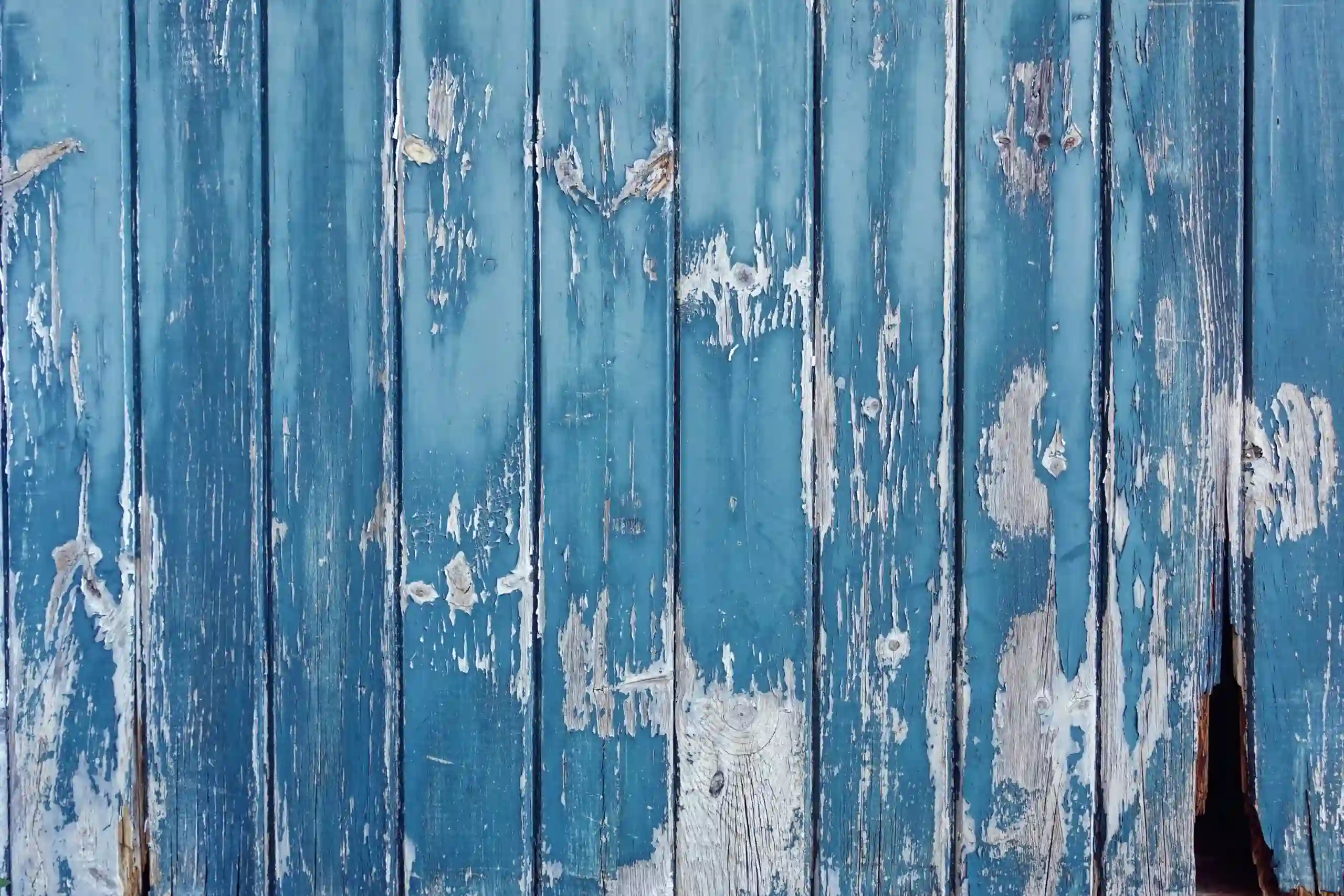 A painted fence with peeling blue paint revealing gray underneath. 