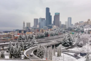 Downtown Seattle blanketed with snow on trees and grass.