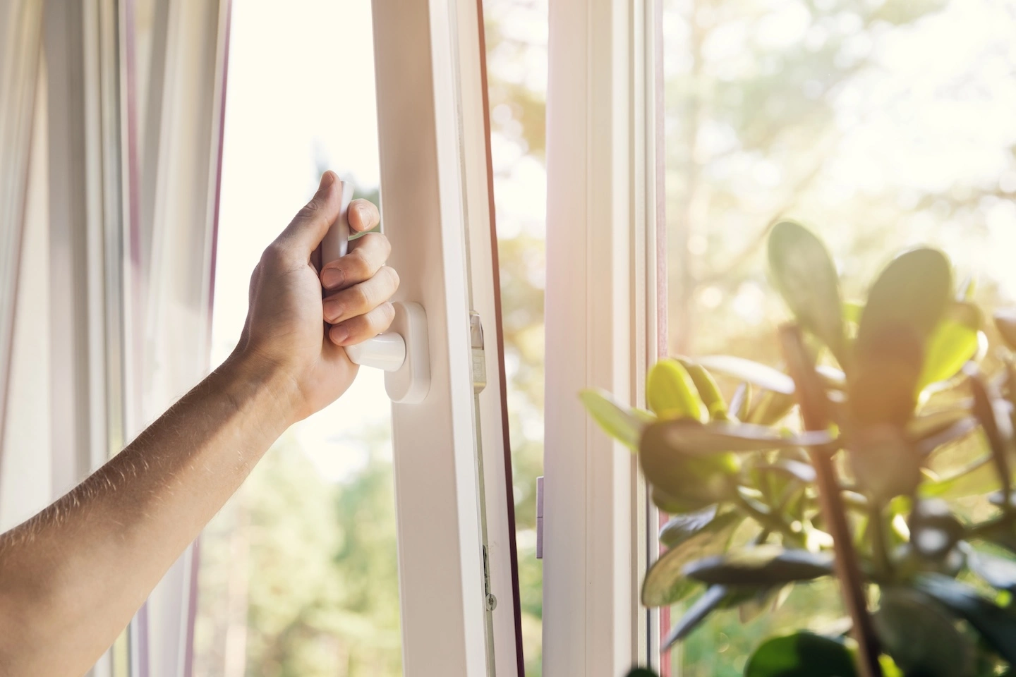 Beat the San Jose Damp: How to Lower Humidity in Your House (and Breathe Easier This Wet Season!)