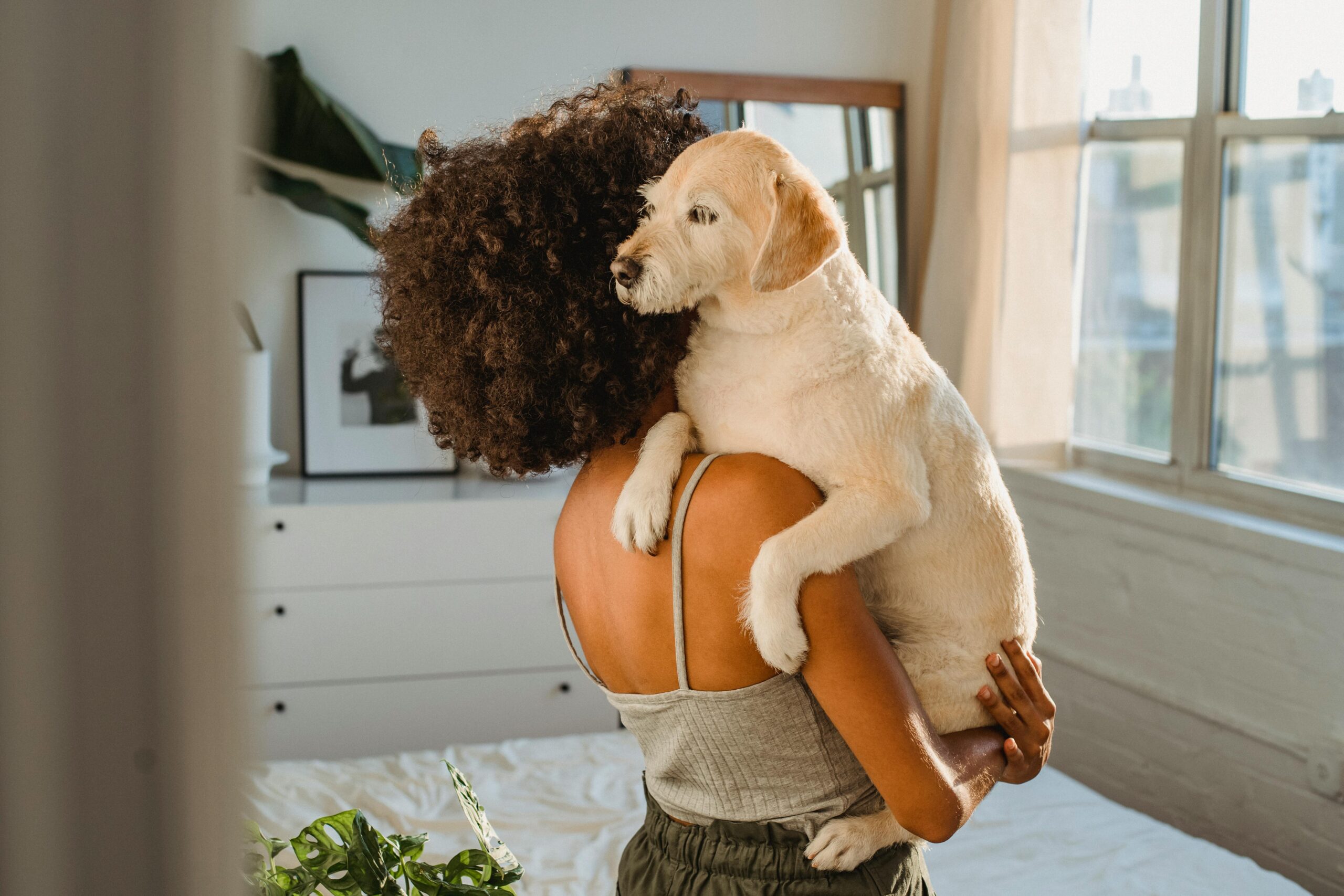 Your Guide to a Clean Outdoor AC Unit: Keeping Your Home Comfortable, the TemperaturePro Way