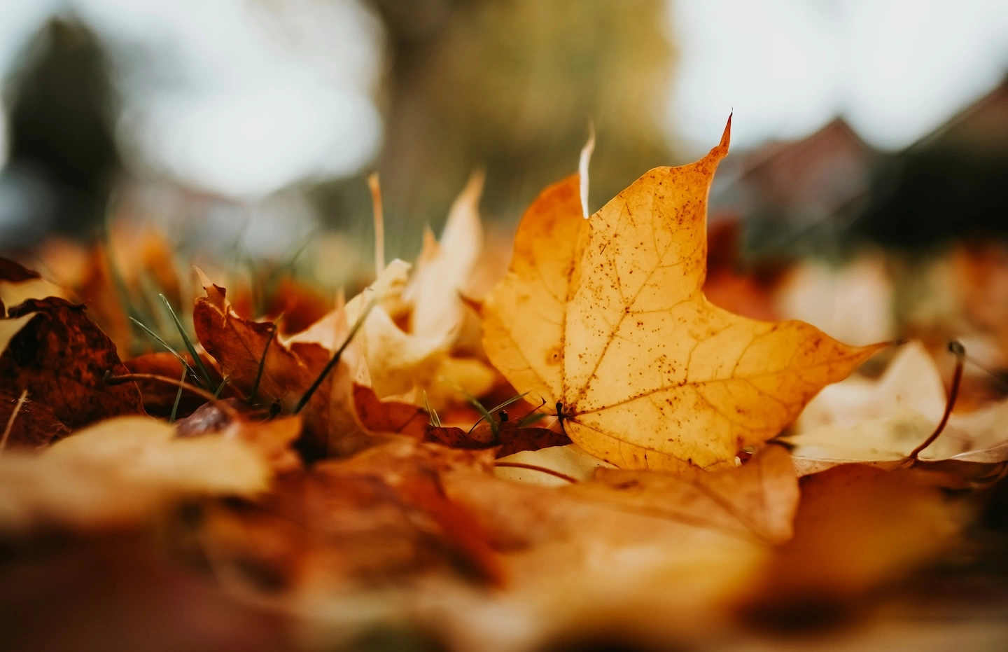 TemperaturePro Round Rock Featured on Redfin: Getting Your HVAC Ready for Fall